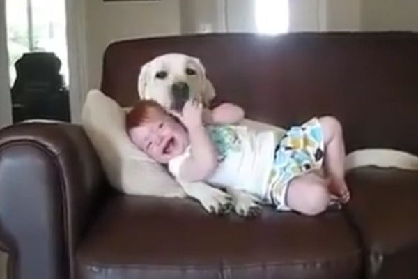 Uživajte u njihovom šašavilu: Oni bi se igrali svaki dan po ceo dan! (VIDEO)