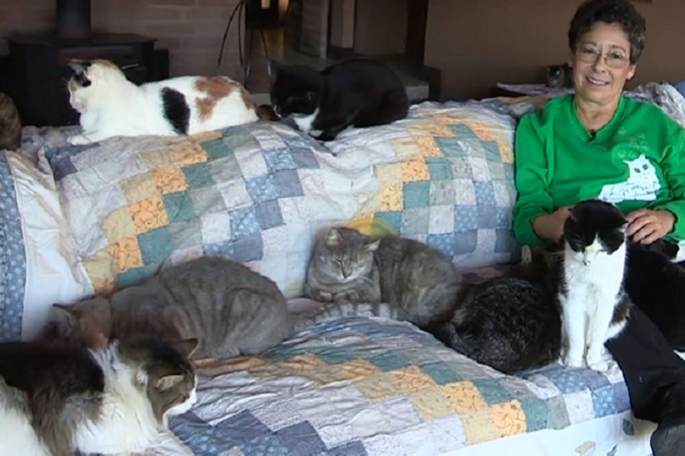 Lina je napravila kuću za mačke, a danas ih ima 1.100! (FOTO) (VIDEO)