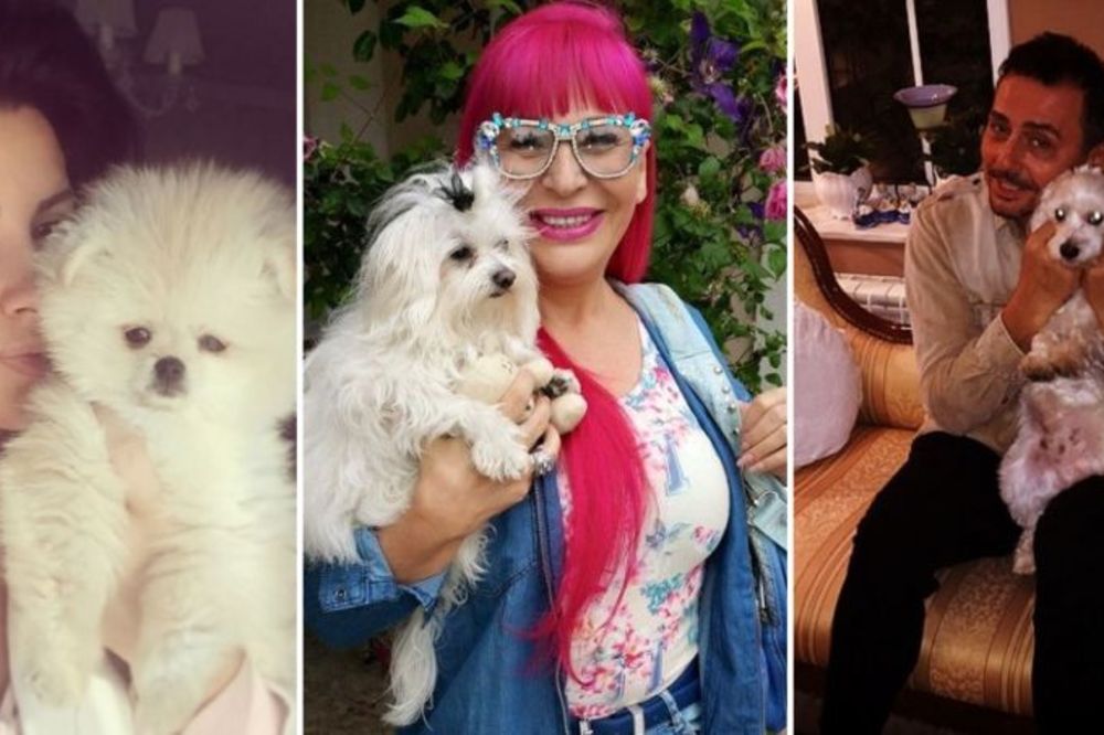 Oni imaju i kučeta i mačeta: Svi kućni ljubimci srpskih pevačkih zvezda! (FOTO) (VIDEO)