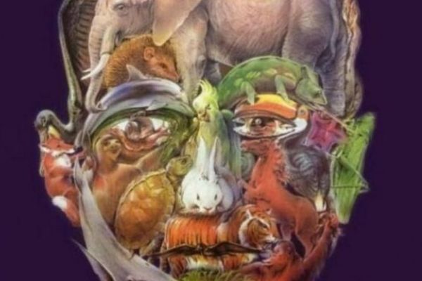 Samo 2% ljudi vidi preko 20 životinja na ovom licu! Da li ste među njima?