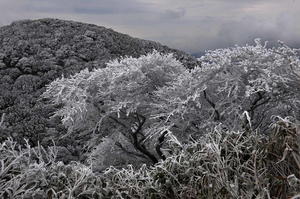 Staroslovenski horoskop: Spoznajte kakva vas sudbina čeka! (FOTO) (GIF)