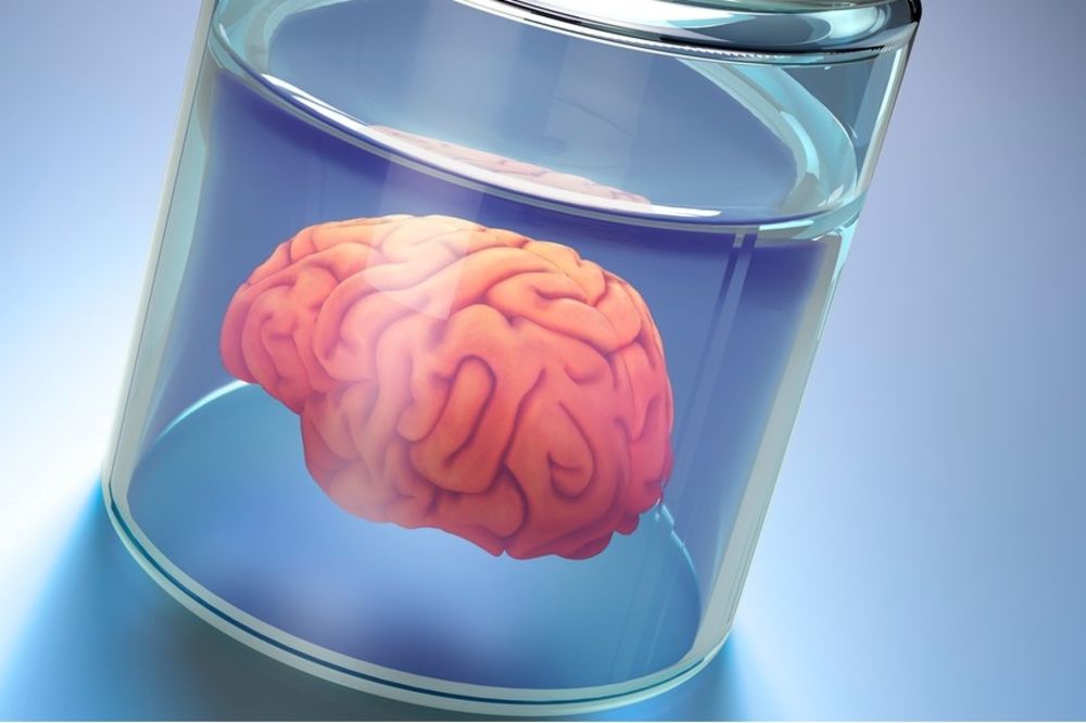 10 činjenica koje će vam zagolicati moždane vijuge (GIF) (FOTO) (VIDEO)