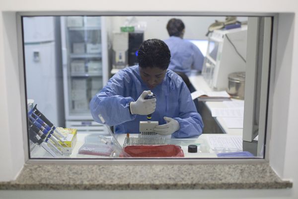 Zika, panika: Ozloglašeni virus koji napada bebe došao i u Evropu! (FOTO) (VIDEO)