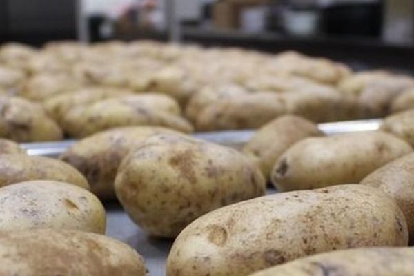 Ovih 9 jela i pića mnogo su zdraviji nego što mislite! (FOTO)