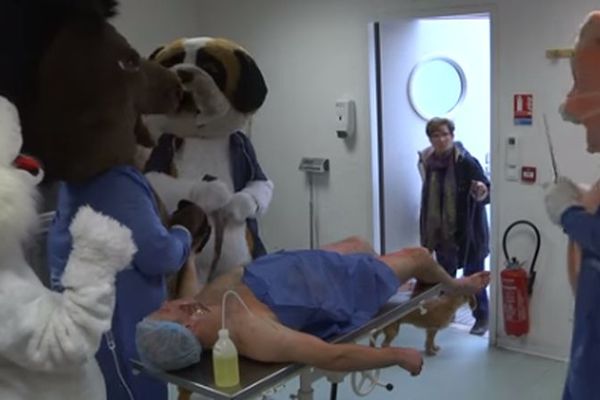 Remi Geljar snimio klip i spasio život psu! (VIDEO)