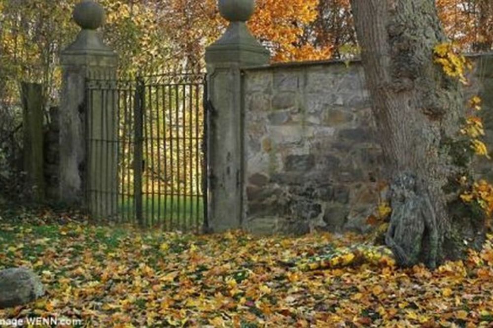 Da li ste natprosečno inteligentni? Pronađite ženu skrivenu na slikama! (FOTO)