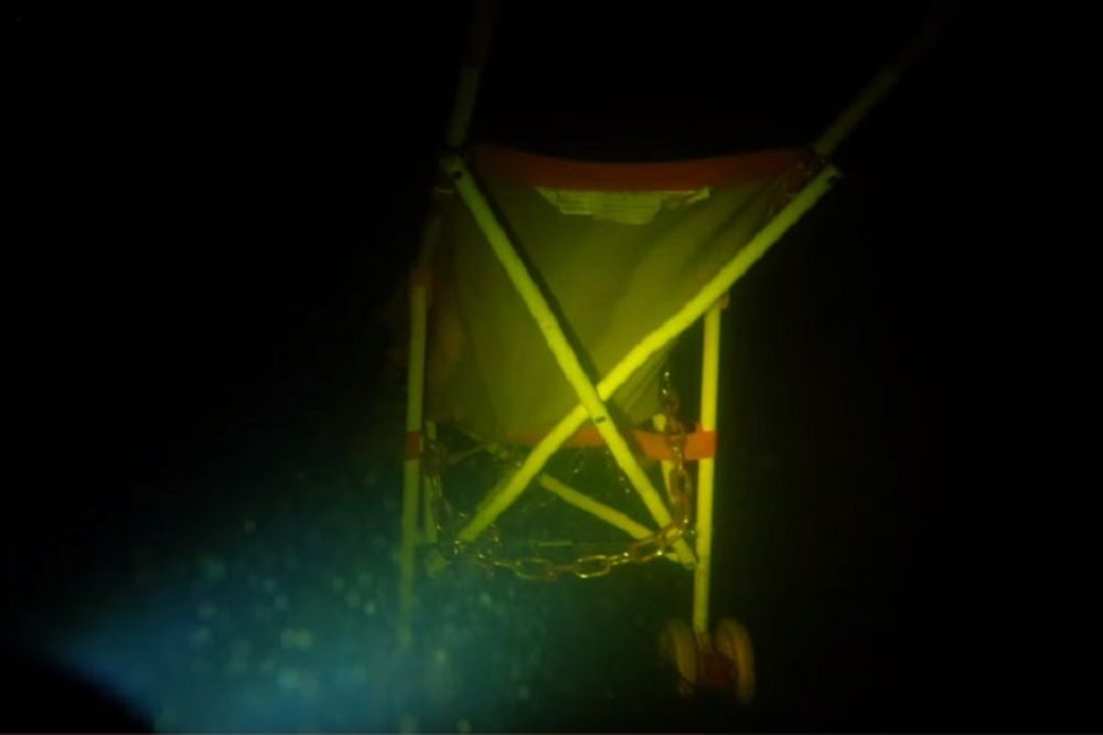 Sve misterije okeanskog dna: Zaronio je, a ono što je našao pamtiće do kraja života (VIDEO) (GIF)