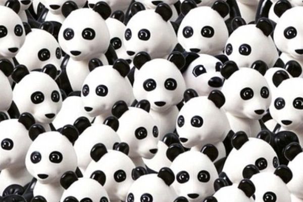 Nova internet pomama: Čik pronađi psa među pandama! (FOTO)