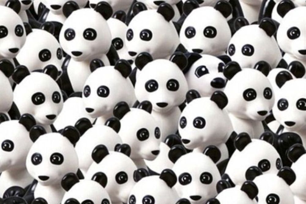 Nova internet pomama: Čik pronađi psa među pandama! (FOTO)