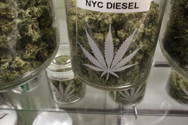 Bagatela u hrvatskim apotekama! Kanabis uskoro u legalnoj prodaji! (GIF)