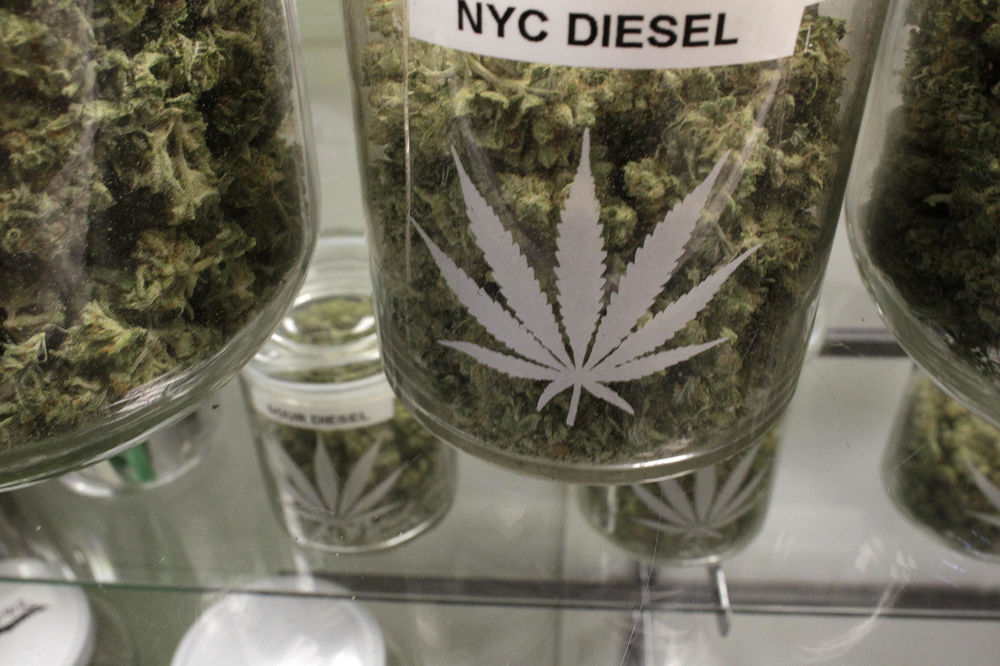 Bagatela u hrvatskim apotekama! Kanabis uskoro u legalnoj prodaji! (GIF)