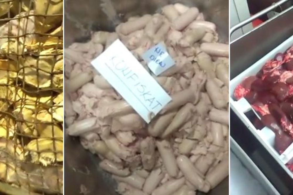 Slike od kojih se stomak prevrće! Snimci iz Matijevića predati Tužilaštvu za organizovani kriminal (VIDEO)