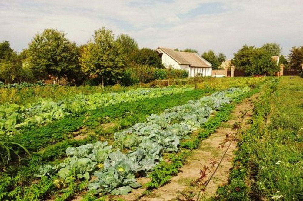 Kuća iz bajke u Vojvodini za džabe! Može da bude i vaša ako da ispunite ova dva uslova (FOTO)