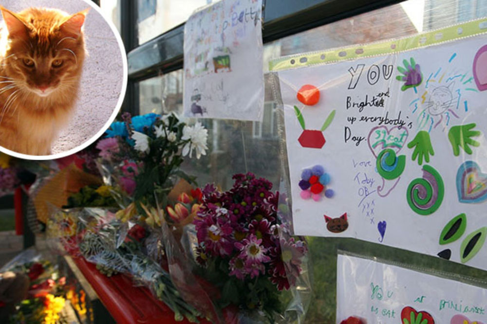 Maca je na ovoj stanici spavala svaki dan. Kad je umrla, to mesto je postalo njen hram (FOTO) (VIDEO)