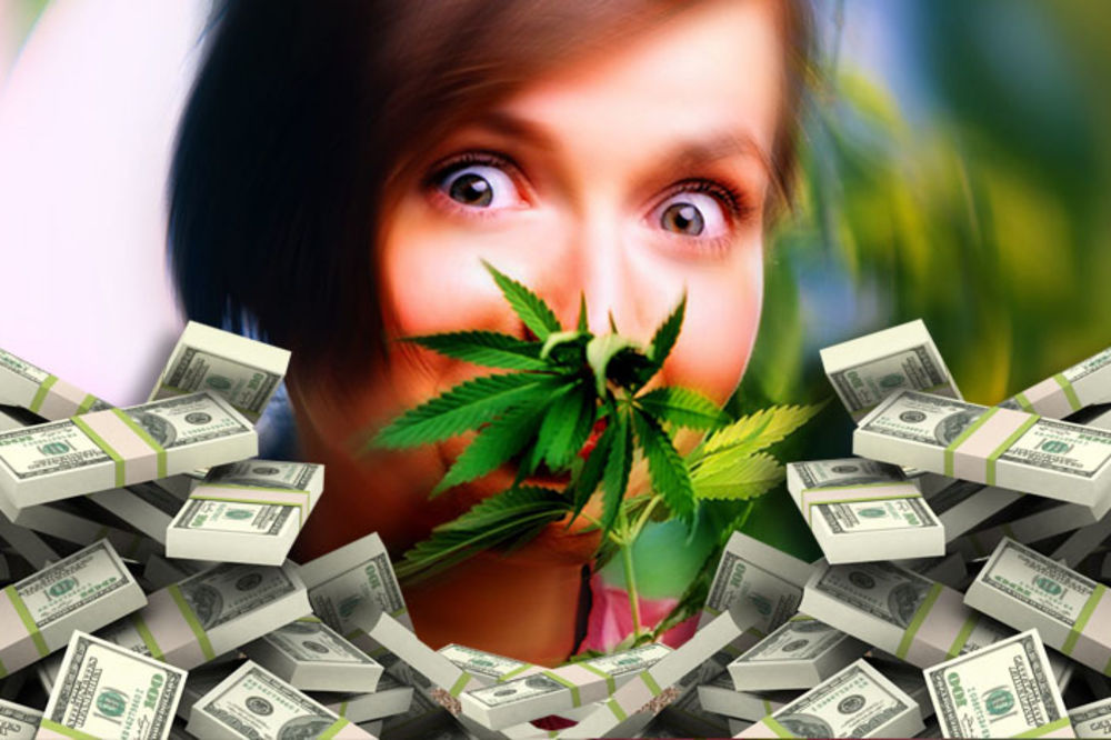 Sve je po zakonu: Amerikanci u 2015. zaradili milijardu od marihuane (FOTO) (VIDEO)