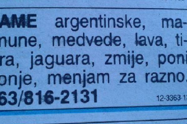 ​Lame, jaguara, medveda i majmuna menja za razno: Da li je ovo najneverovatniji oglas u Srbiji? (FOTO)