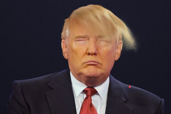 Trampujte Donalda: 10 načina za druženje s kandidatom za američkog predsednika! (FOTO) (GIF)