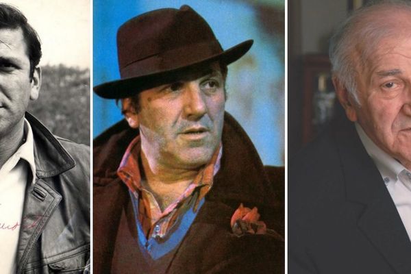 Ovakav Instagram profil ne postoji na planeti: Karijera Bate Životinje u 20 fotki (FOTO)