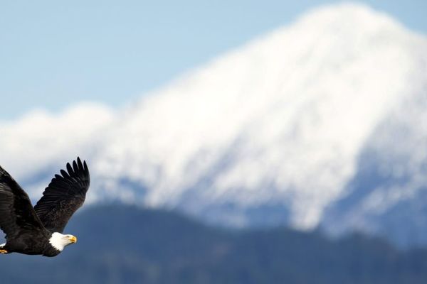 Spilberg Oro: Vladar nebeskih visina sa kamerom u akciji (VIDEO)