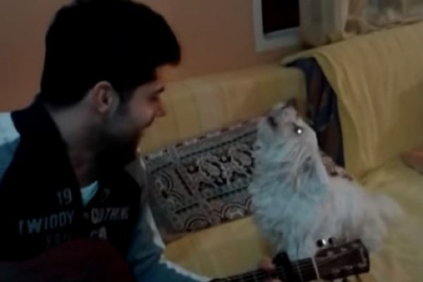 Hiiit! Ovako maltezer Čeda peva Cecinu pesmu! Kad pas ode u folkere! (VIDEO)