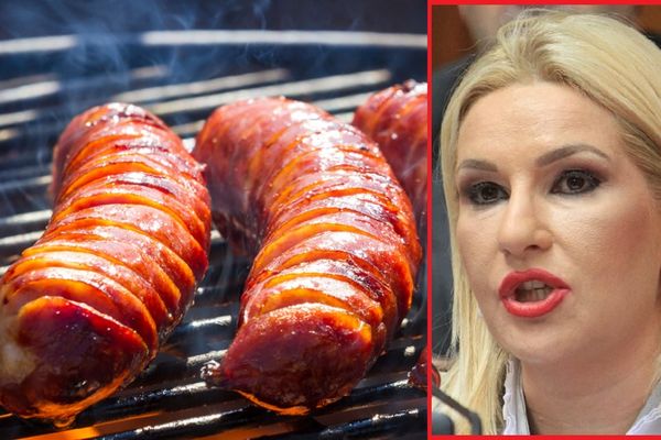 Zorana Mihajlović: Treba nam bela nemačka kobasica!