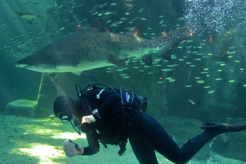 Ronilac snimio sopstvenu smrt u zloglasnoj Plavoj rupi! (VIDEO)