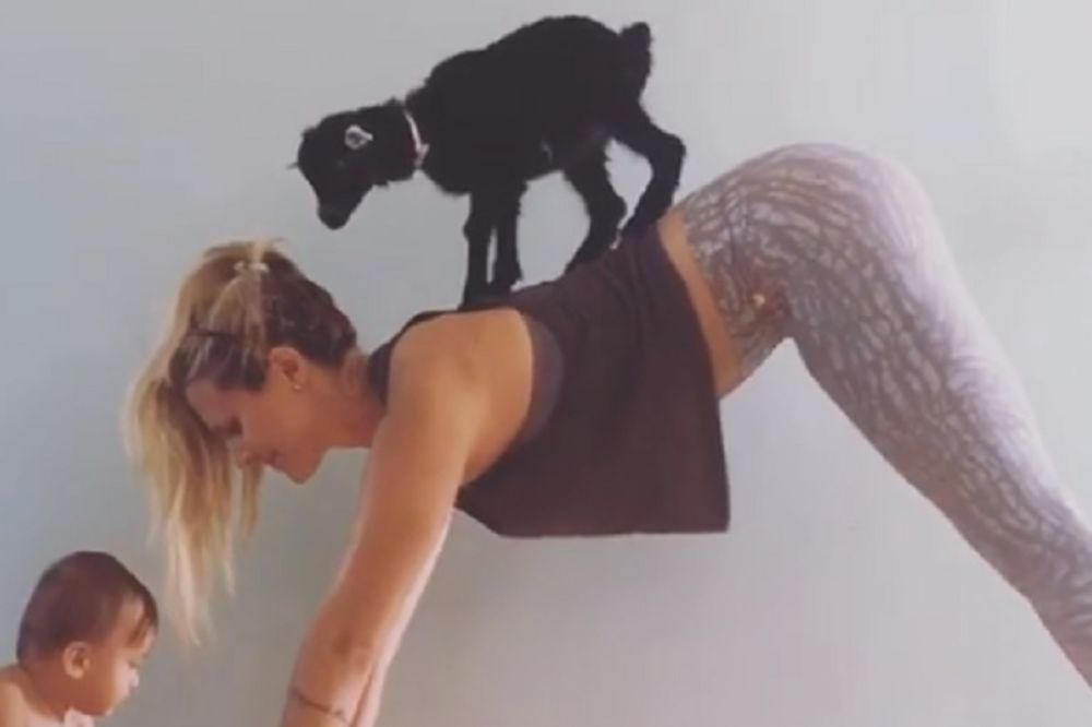 Rade jogu svaki dan i prezabavno im je! (FOTO) (VIDEO)