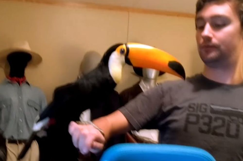 Hoćete egzotičnog ljubimca? Razmislite o tukanu... koji misli da je pas! (VIDEO)