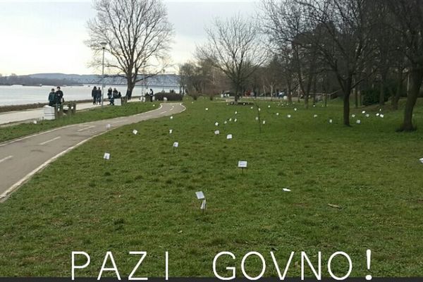 Pazi go*no! Genijalan način kako se na Dorćolu bore s psećom kakom! (FOTO)