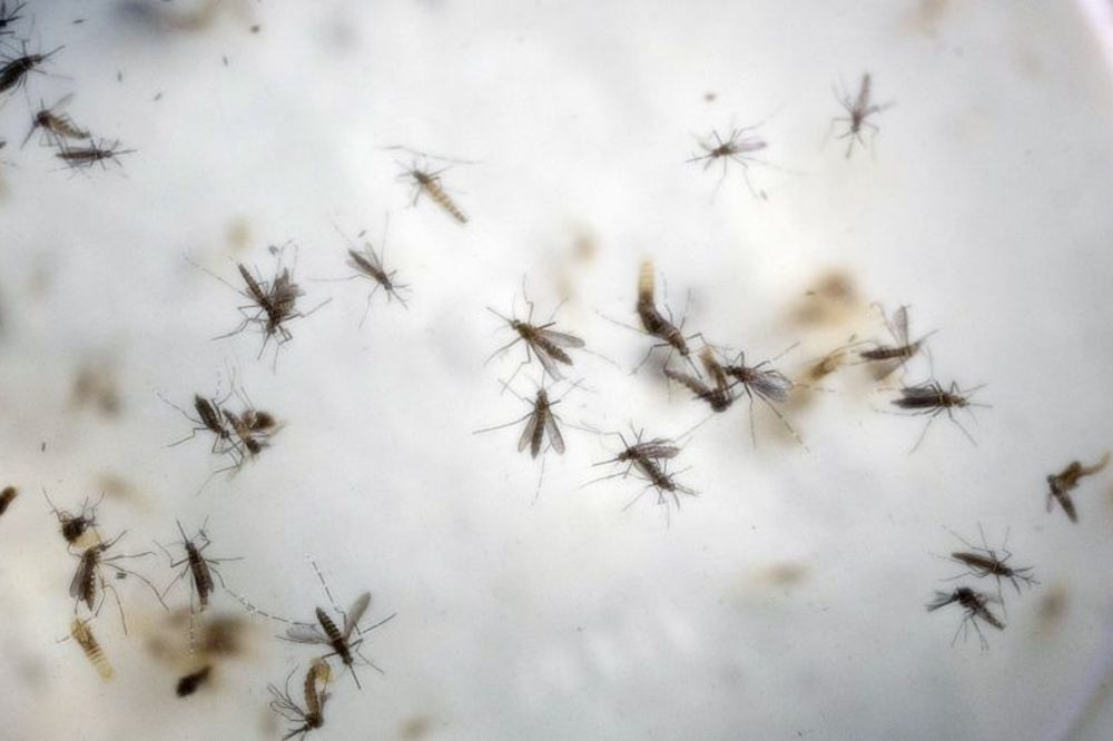 Kontroverzna tvrdnja: Za deformacije kod beba kriva američka kompanija, a ne Zika virus!