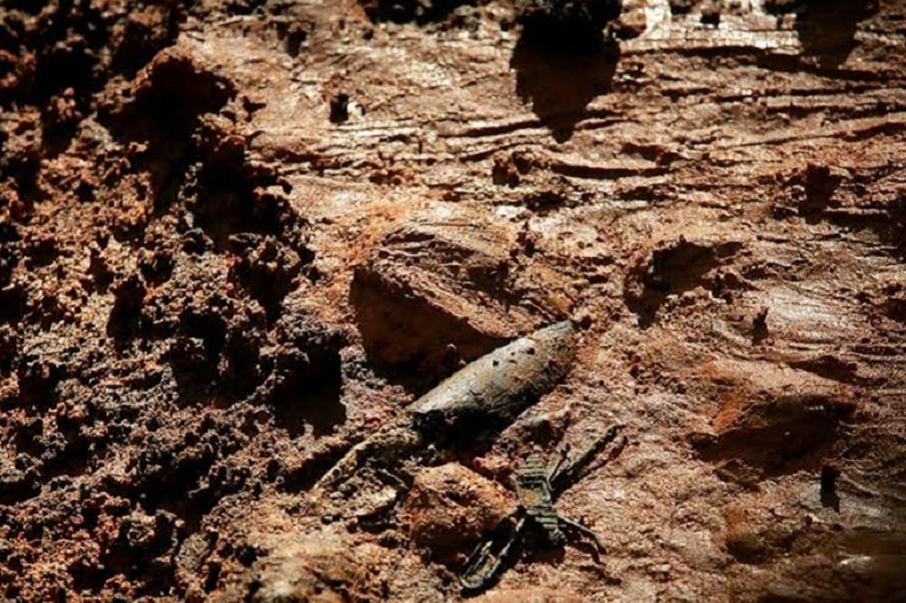 Škola strave i užasa: Ovde su zakopane najjezivije priče u Americi (FOTO)