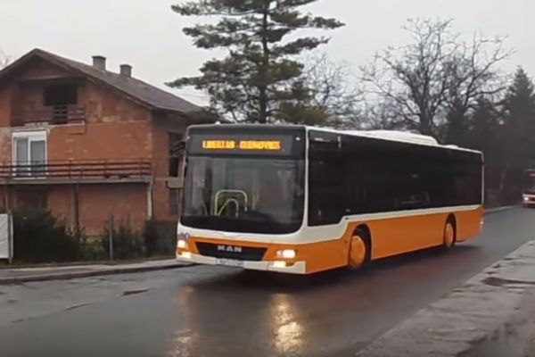 Goli ukrali autobus videdo