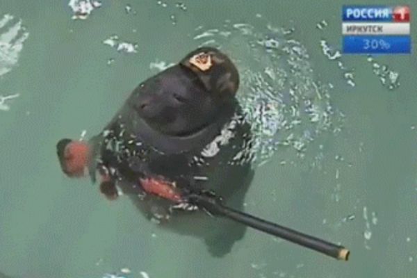 Putinovo tajno oružje od koga će se američke Foke smrznuti! (GIF)