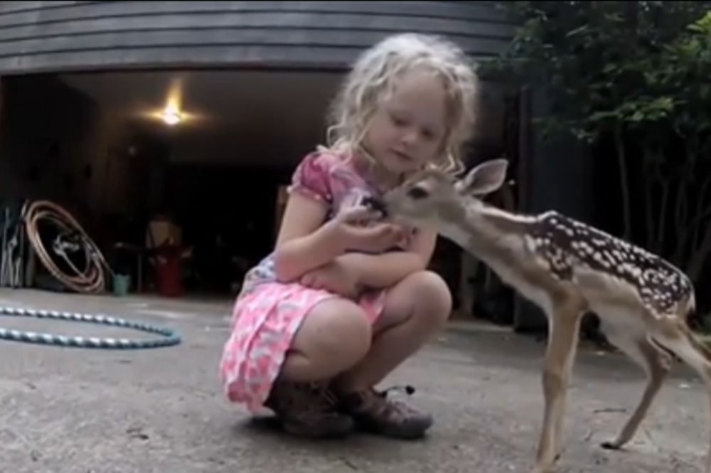 Blago maloj Maji: Ova devojčica ima najslađeg prijatelja na svetu! (VIDEO)