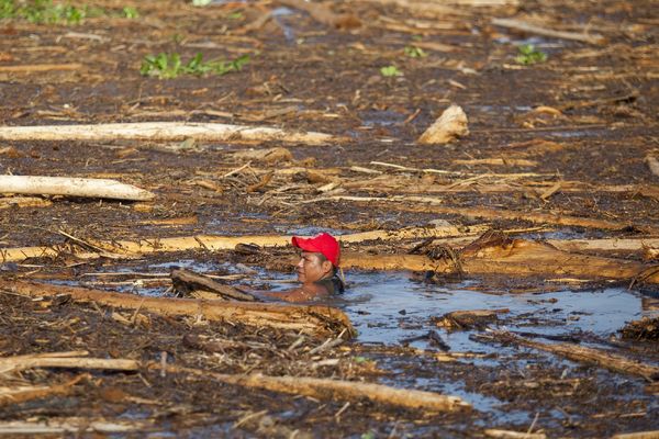 Događa se još jedna ekološka katastrofa za koju niko nije čuo! (VIDEO)
