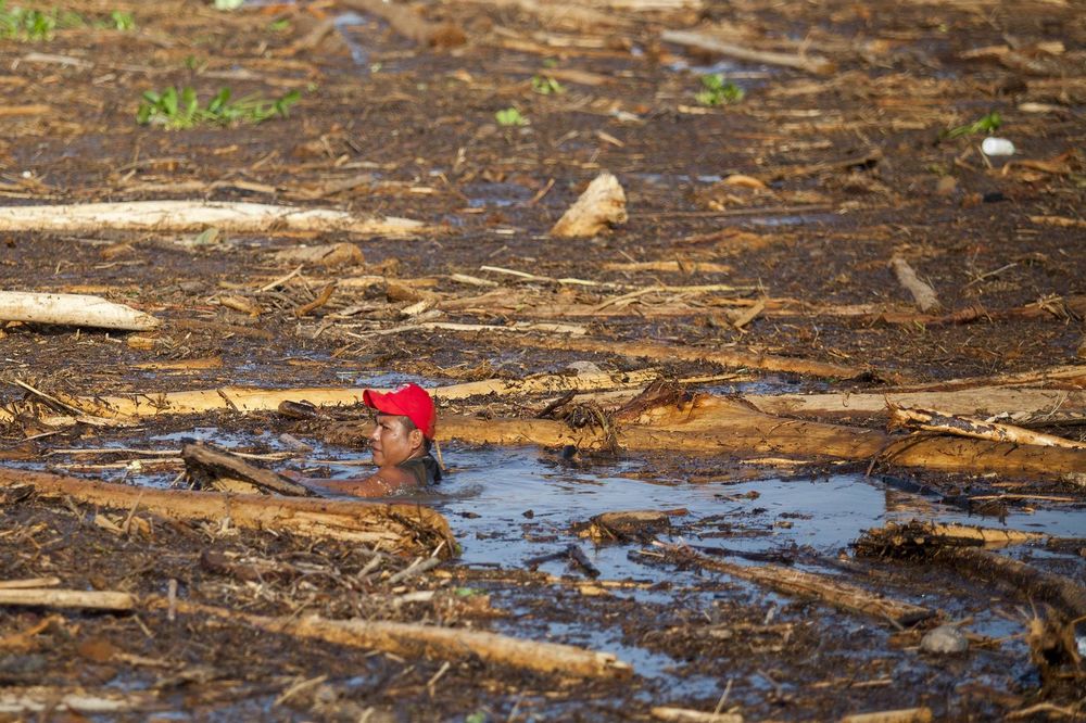 Događa se još jedna ekološka katastrofa za koju niko nije čuo! (VIDEO)
