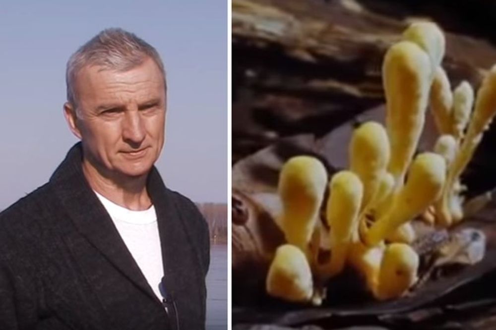 1 kilogram košta 50.000 evra: Genijalci iz Srbije stvorili najjači antibiotik na svetu! (VIDEO)