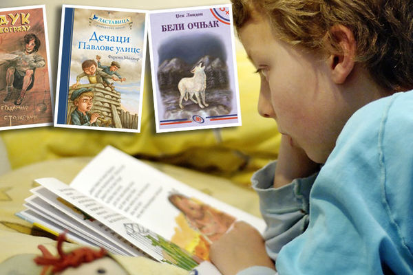 Knjige uz koje su generacije u Jugi odrastale, a današnja deca verovatno neće ni čuti za njih!