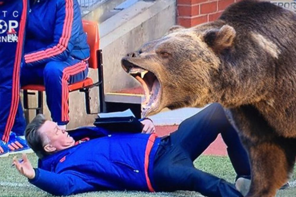 Tako to Englezi rade: 10 novih brutalnih fora na račun Van Gala i njegovog pada! (FOTO) (VIDEO)