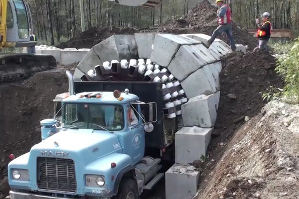 Kao mali su sklapali Lego, a danas prave mostove... I to kako! (VIDEO)