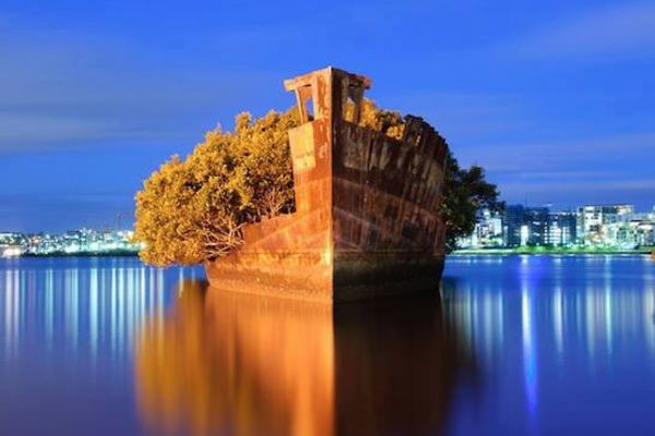 Lepota prolaznosti: Dok rđa rđa, nastaje neverovatna umetnost! (FOTO)