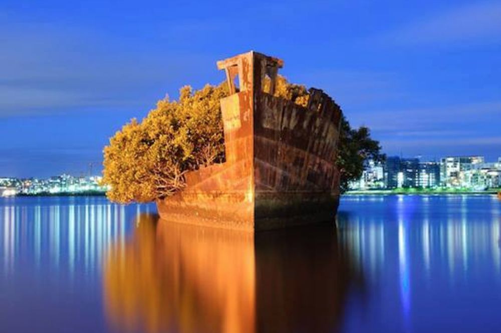 Lepota prolaznosti: Dok rđa rđa, nastaje neverovatna umetnost! (FOTO)