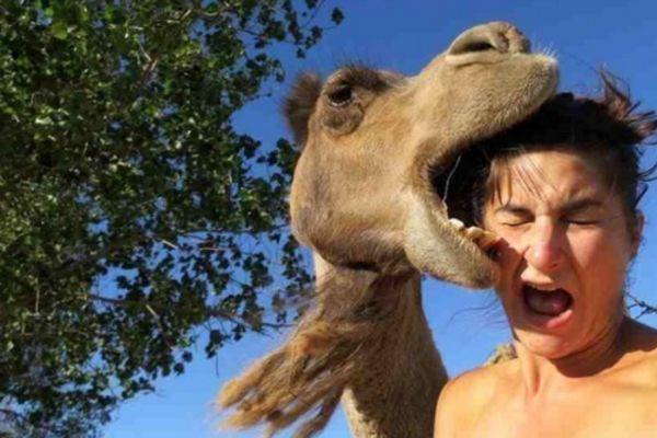 Kraljevi ispaljivanja: Ovo je 10 najvećih fejlova na internetu! (FOTO) (GIF)