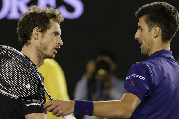 Endi Mari o Dejvis kupu: Đoković je sjajan na svim podlogama, Srbija blagi favorit!