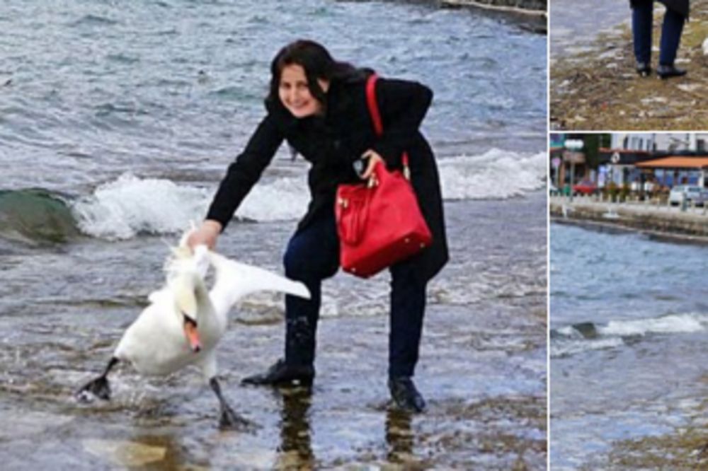 Gde će ti duša, gusko? Žena ubila labuda na Ohridu zbog selfija! (FOTO)