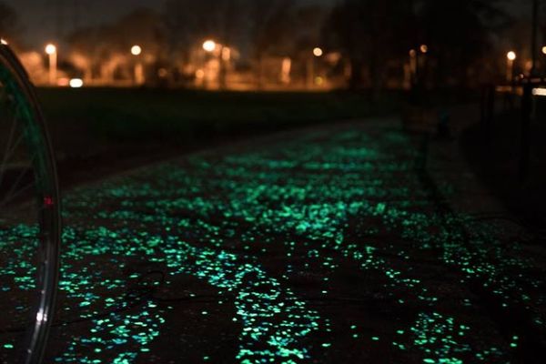 Van Gog za bicikliste: Magična holandska staza za noćnu vožnju (FOTO) (VIDEO)