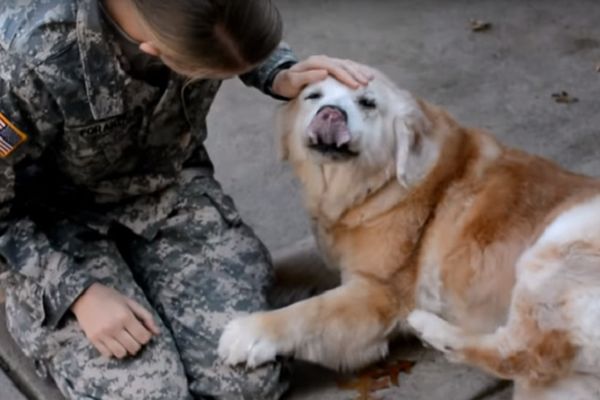 Vratila se iz vojske, pas joj priredio doček koji ni od dečka ne bi dobila! (VIDEO)
