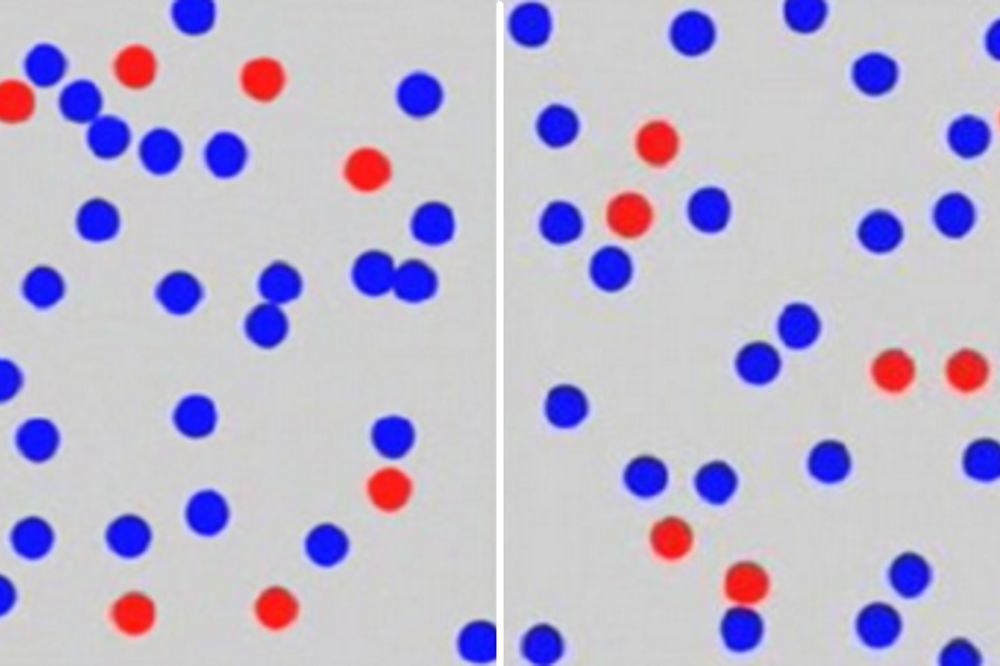 Da li imate fotografsko pamćenje? (FOTO)