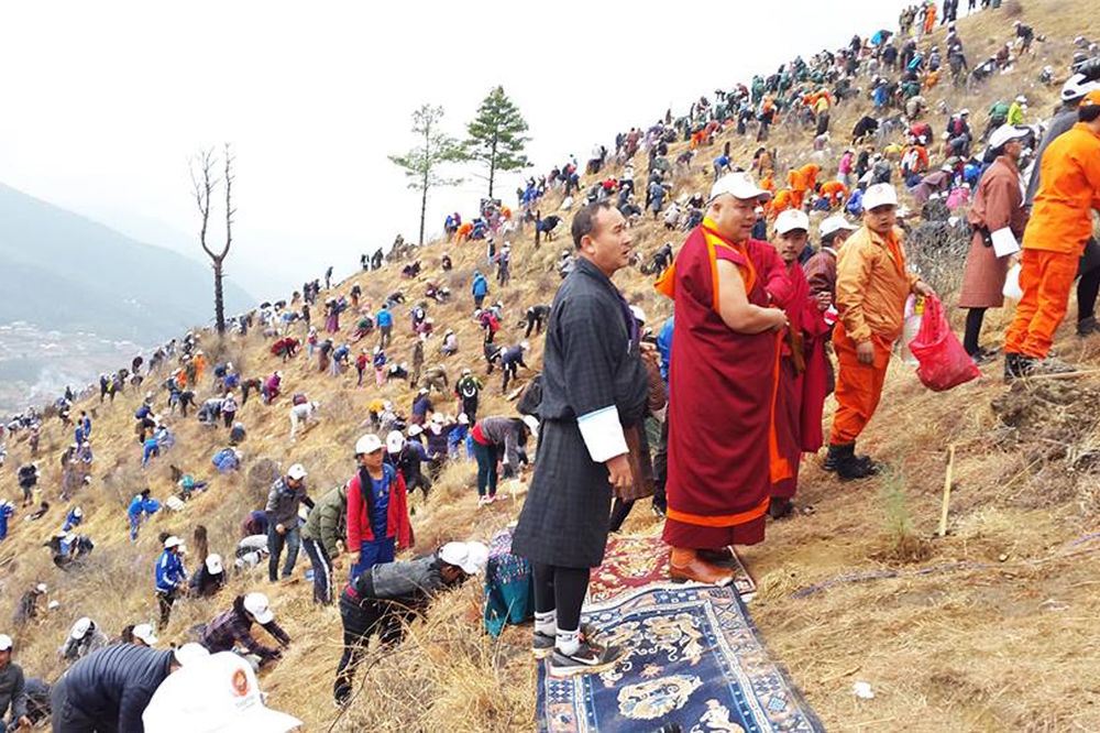 U čast rođenja kraljevske bebe: U Butanu posađeno 108.000 stabala (FOTO)