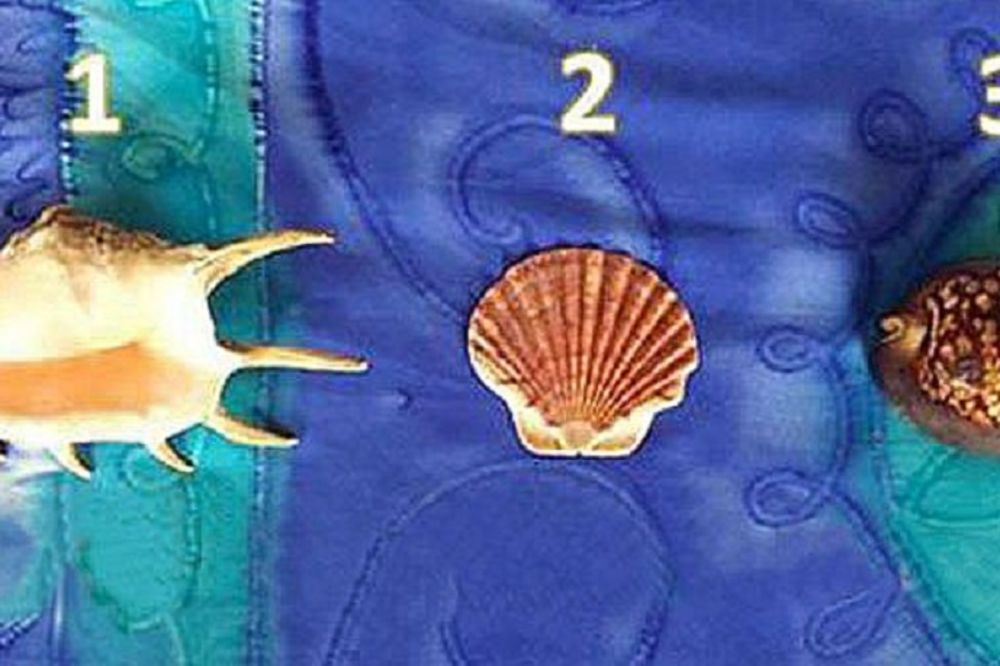 Test ličnosti koji pogađa u centar: Koja školjka vam se najviše dopada? (FOTO)